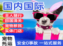 地窝堡机场邮寄国际宠物托运 【国